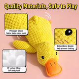 Plush Squeaky Dog Toys
