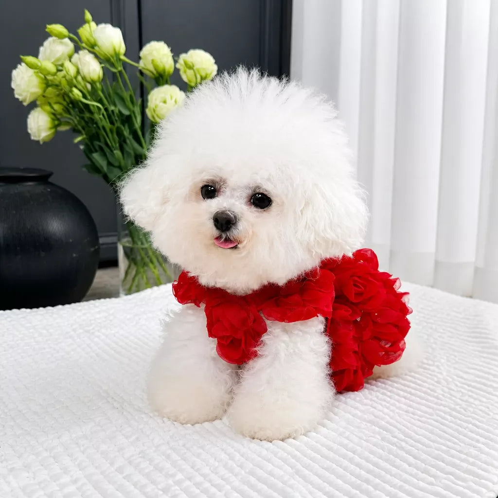 Pet Summer Dress with Suspender-Style Straps