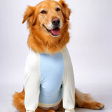 Lightweight Summer Dog Shirt for Medium to Large Breeds