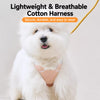 Vest-Style Dog Harness with Leash