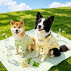 Lightweight Four-Leg Dog Shirt