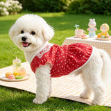 Lightweight Summer Pet Vest for Dogs & Cats