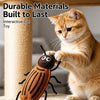 Catnip Insect Toys with Bells for Cats