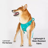 Lightweight Breathable Dog Harness and Leash