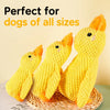 Plush Squeaky Animal Toy for Dogs and Cats