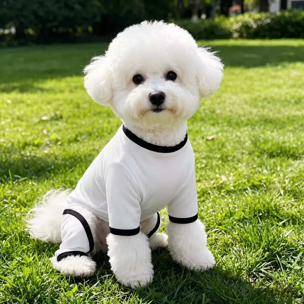 Lightweight Mesh Dog Shirt