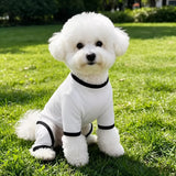 Lightweight Mesh Dog Shirt