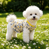 Mesh Pet Dress for Dogs and Cats