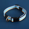 Adjustable Canvas Pet Collar
