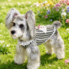 Lightweight Cotton Dog Graphic Pet Shirt for Cats & Dogs