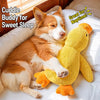 Plush Squeaky Dog Toys