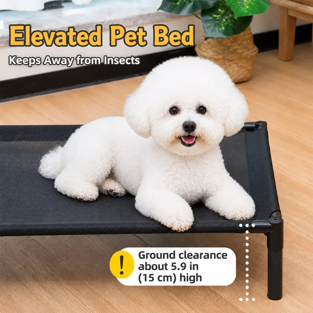 Elevated Dog & Cat Bed with Removable, Washable Pad