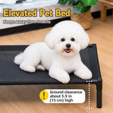 Elevated Dog & Cat Bed with Removable, Washable Pad