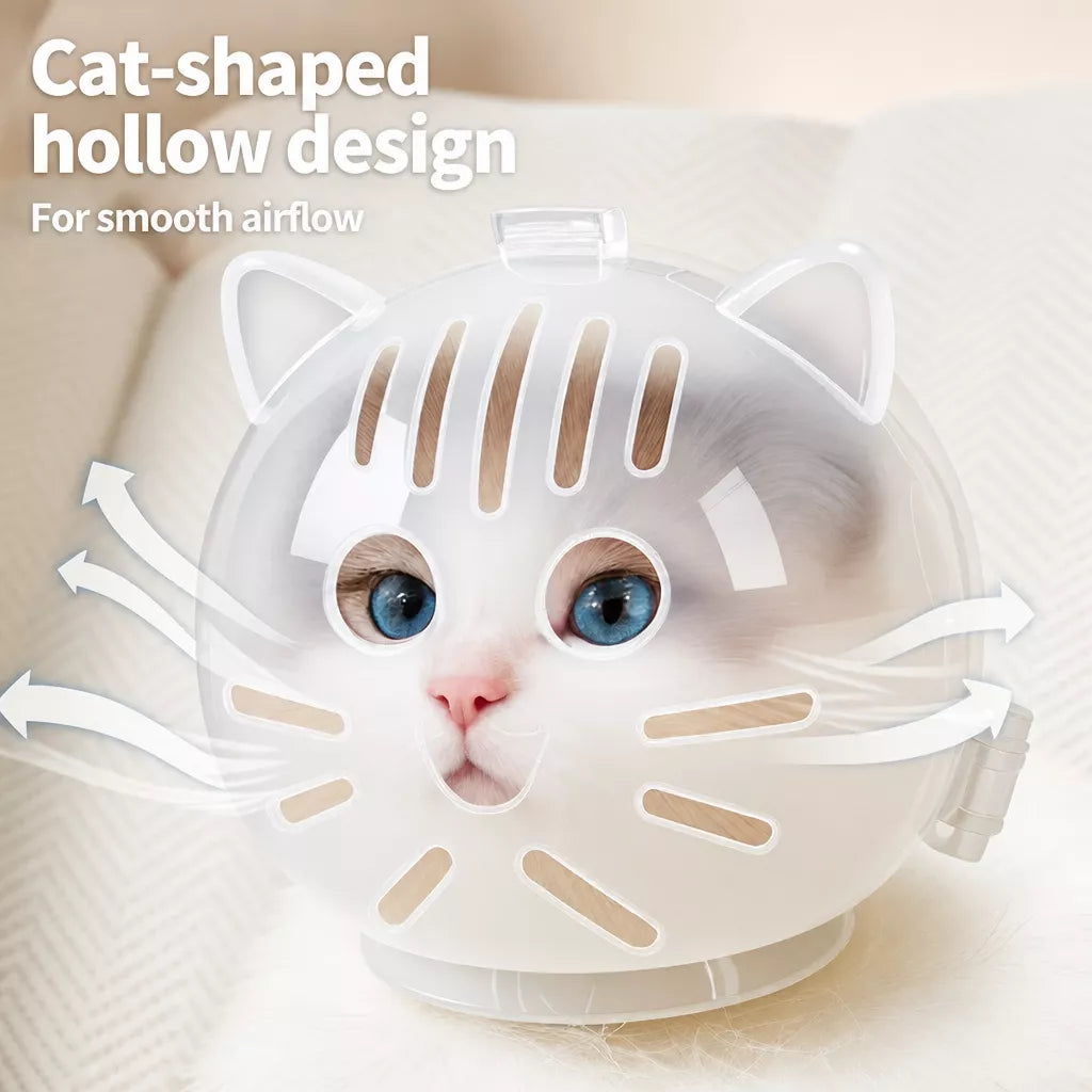Clear Plastic Pet Recovery Cone for Cats