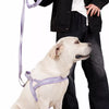 Dog Harness for Everyday Walks