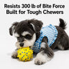 E-TPU Dog Toy Ball