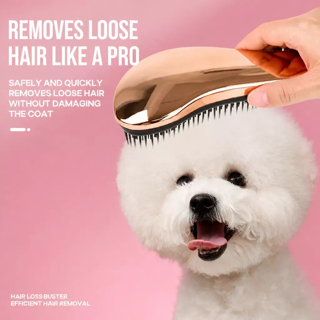 Pet Coat Grooming Brush for Small Dogs