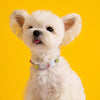 Rhinestone Faux Leather Pet Collar for Small Dogs & Cats