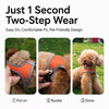 Small Dog Harness and Leash Set