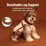 Nylon Pet Shoulder Carrier Bag for Small Dogs