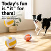 Vinyl Squeaky Dog Ball Toys for Small and Medium Dogs