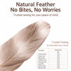 Long-Handle Feather Cat Teaser Wand