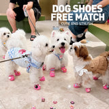 Dog Clog-Style Shoes for Outdoor Walks