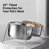 Stainless Steel Double Pet Bowls with Elevated Stand