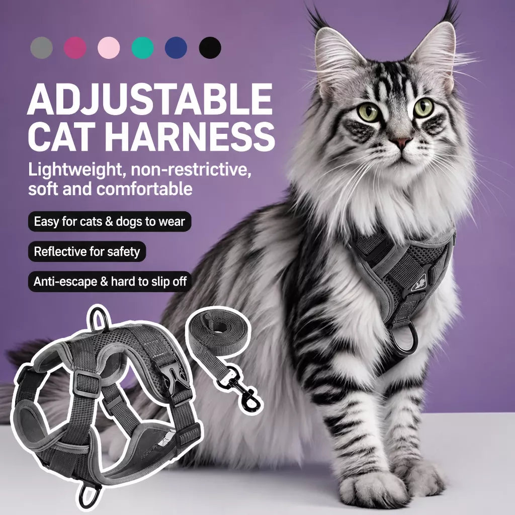 Adjustable Cat Harness and Leash