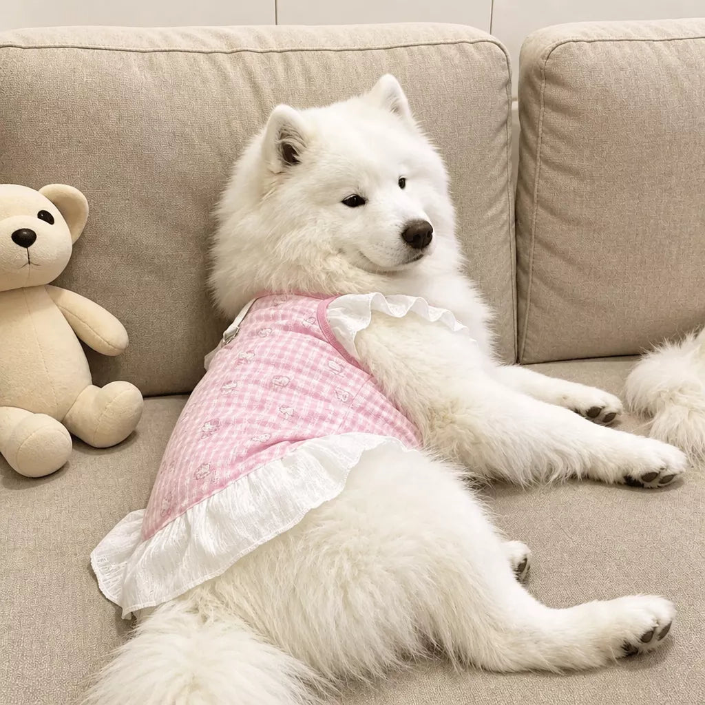 Lightweight Mesh Dog Dress for Warm-Weather Lounging