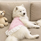 Lightweight Mesh Dog Dress for Warm-Weather Lounging