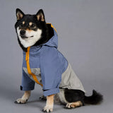 Dog Rain Jacket – Wind- and Water-Resistant Outdoor Coat