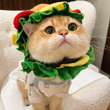 Character Pet Costume Hats for Cats and Dogs
