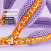 Small Dog Harness and Leash
