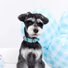 Faux Leather Dog & Cat Collar with Jewel Detail