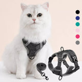 Adjustable Cat Harness and Leash