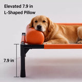 Raised Dog Cot Bed with Iron Frame