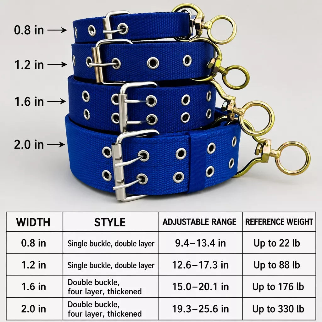 Nylon Dog Collar for Small to Large Dogs