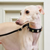 Rhinestone Faux Leather Pet Collar for Small Dogs & Cats