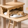Solid Wood Cat Tree with Cat House