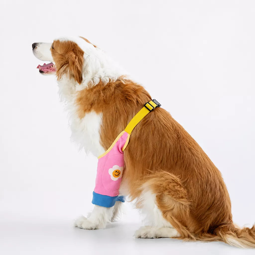 Dog Leg Cover for Year-Round Everyday Wear