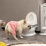 Wide-Mouth Toilet-Shaped Plastic Water Bowl for Cats