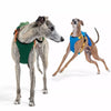Nylon Harness with Integrated Retractable Leash for Dogs