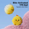 Cartoon Spiky Squeaky Ball Toy for Dogs
