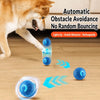 Interactive Squeaky Jumping Ball Dog Toy