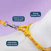 Small Dog Harness and Leash