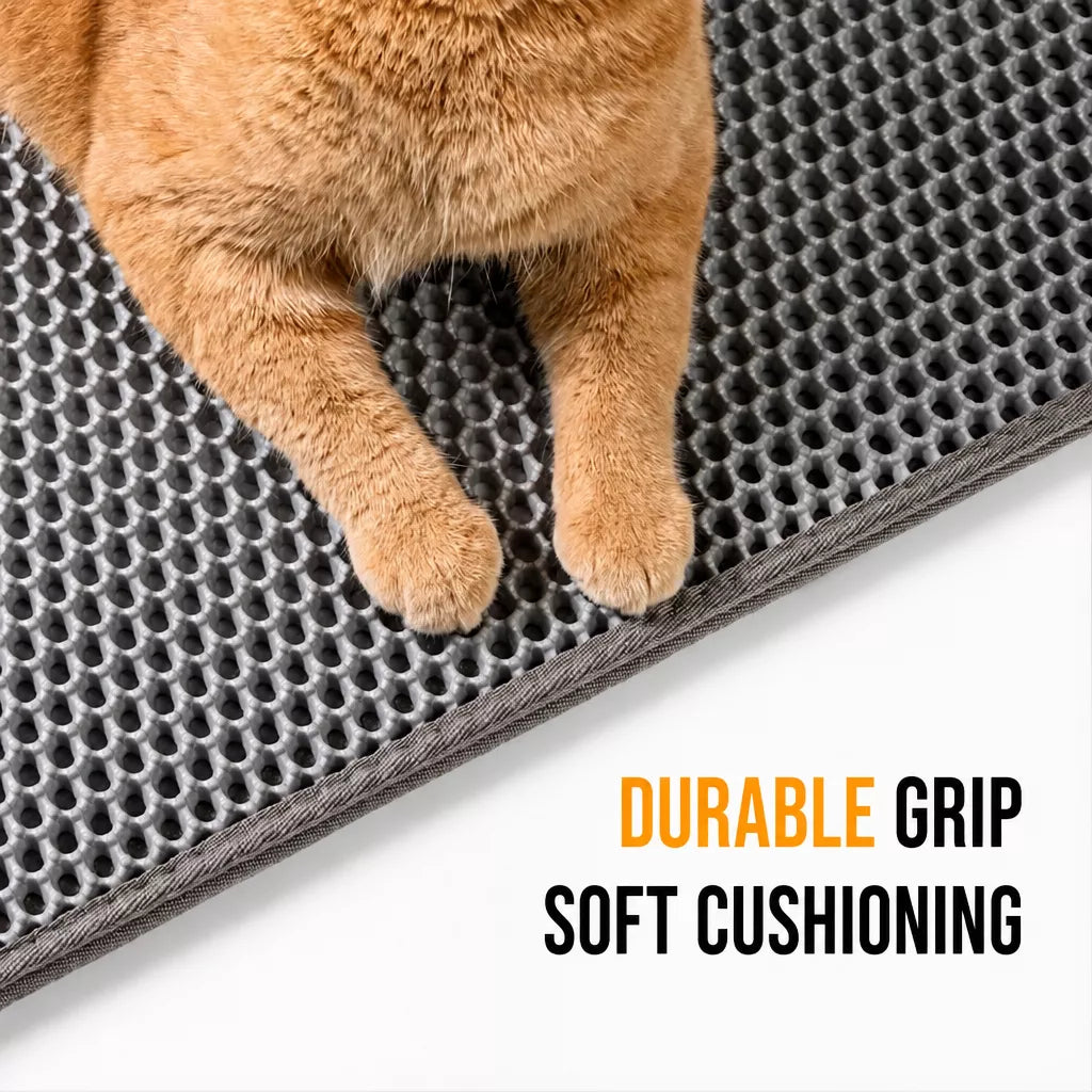 Double-Layer Cat Litter Mat