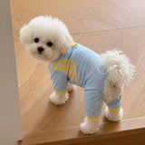 Lightweight Four-Leg Mesh Dog Shirt for Small & Medium Dogs