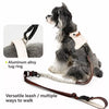 Adjustable Vest-Style Dog Harness and Leash