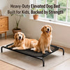 Elevated Mesh Dog Bed with Iron Frame